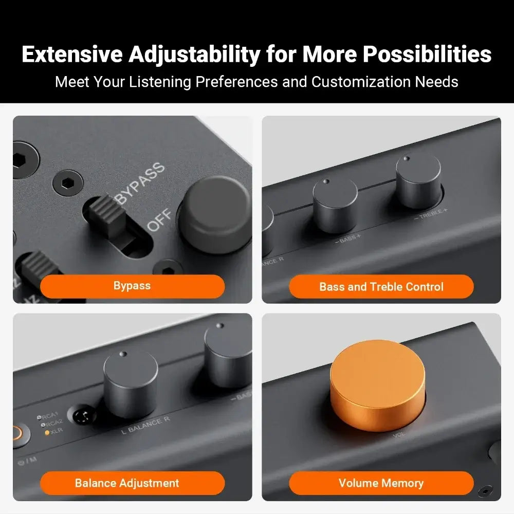 Fosi Audio ZP3 adjustable features including bypass, bass and treble control, balance adjustment, and volume memory.